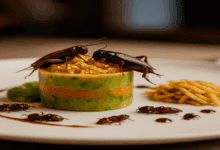 receitas gourmet com insetos