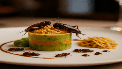receitas gourmet com insetos